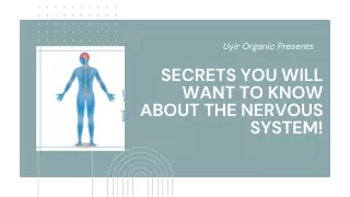 Secrets you will want to know about the Nervous System!