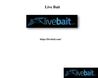 Best Casting Net, livebait