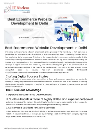 Best Ecommerce Website Development in Delhi