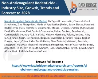 Non-Anticoagulant Rodenticide Market