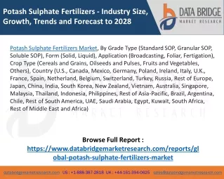 Potash sulphate fertilizers market