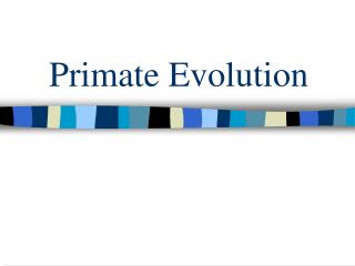 Primate Evolution