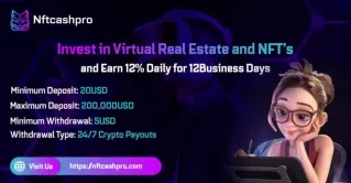 Invest in Virtual Real Estate and NFT's