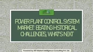 Power Plant Control System Market: Beating Historical Challenges, What's Next