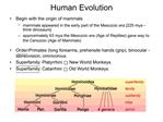 Human Evolution