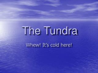 The Tundra