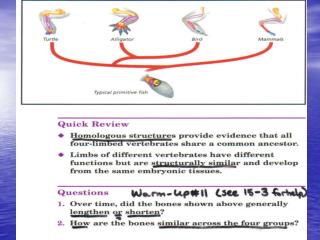 EVOLUTION &amp; SPECIATION