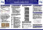 Wax moth larvae as a model for gene expression studies during ...