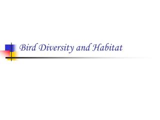 Bird Diversity and Habitat