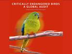 Critically Endangered Birds: A Global Audit