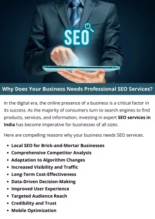 Why Does Your Business Needs Professional SEO Services?