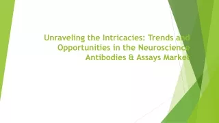 Neuroscience Antibodies & Assays Market