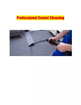 Professional Carpet Cleaning