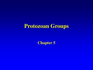 Protozoan Groups