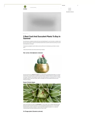 5 Best Cacti And Succulent Plants To Buy In Summer