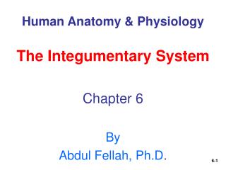 Human Anatomy &amp; Physiology