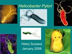 Helicobacter Pylori