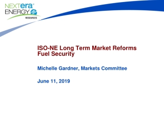 ISO-NE Long Term Market Reforms Fuel Security