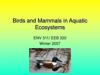 Birds and Mammals in Aquatic Ecosystems