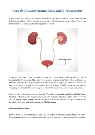 Why do Bladder Stones Need Early Treatment?