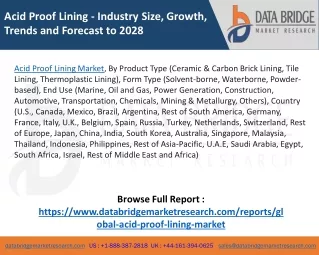 Acid Proof Lining Market
