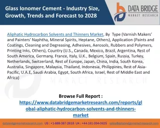 Aliphatic Hydrocarbon Solvents and Thinners Market