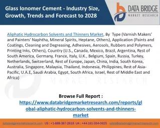 Aliphatic Hydrocarbon Solvents and Thinners Market