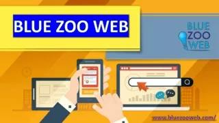 Web Design Services California | Web Development Services | Bluezoo web