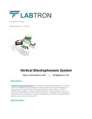 Vertical Electrophoresis System