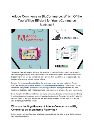 Which Of the Two Will be Efficient for Your eCommerce Business?