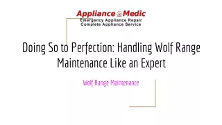 Doing So to Perfection: Handling Wolf Range Maintenance Like an Expert