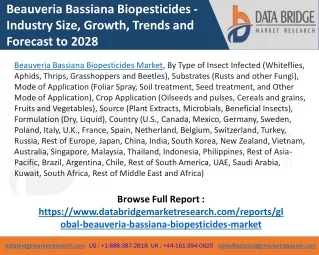 Beauveria Bassiana biopesticides Market