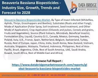 Beauveria Bassiana biopesticides Market