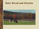 Dairy Breeds and Selection