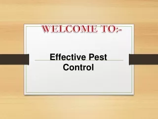 Looking for the best Pest Control in Clonsilla