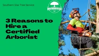 3 Reasons to Hire a Certified Arborist