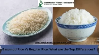 Basumoti Rice Vs Regular Rice: What are the Top Differences?