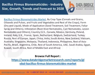 Bacillus Firmus Bionematicides Market