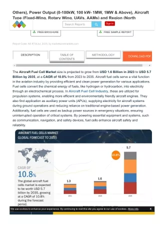 The Road Ahead_ Opportunities and Challenges in the Aircraft Fuel Cell Market