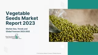 Vegetable Seeds Market Industry Outlook, Opportunities in Market And Expansion