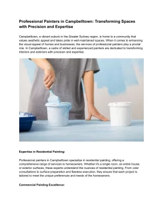 Professional Painters in Campbelltown_ Transforming Spaces with Precision and Expertise