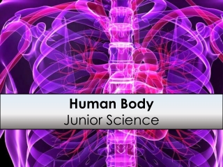 Human Body Junior Science