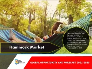 Hammock Market Size 2021 to 2030