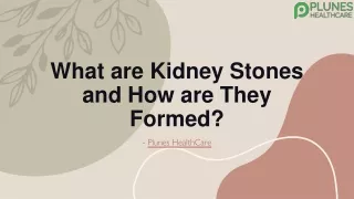 What are Kidney Stones and How are They Formed?