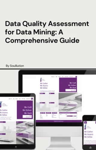 Data Quality Assessment for Data Mining A Comprehensive Guide