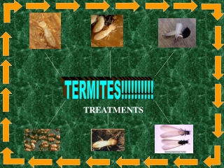 Termite Treatments