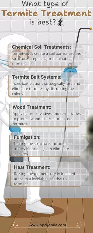 What type of termite treatment is best