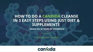 The Low Allergy Diet Second Phase of Your Candida Cleanse