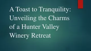 A Toast to Tranquility Unveiling the Charms of a Hunter Valley Winery Retreat