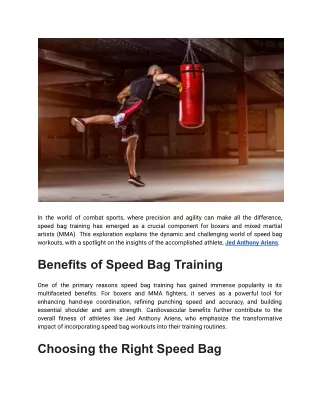 Workout For Boxing And MMA With Speed Bags